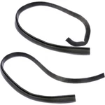 SET-RB924498-2 Dorman Of Door Seals Rear Driver & Passenger Side Pair. Fixed Price $66.23.