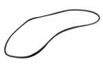Genuine Gm Passenger Side Rear Door Weatherstrip 23282070. Fixed Price $59.13.