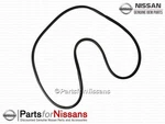 Genuine Nissan Sentra Right Front Door Welt Weatherstrip - New Oem. Fixed Price $66.76.