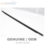 2018-2025 Audi S5 Sportback Rear Right Door Window Slot Seal / Trim. Fixed Price $60.49.