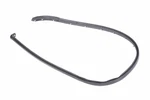 Genuine Gm Driver Side Door Lower Weatherstrip 22740137. Fixed Price $203.62.