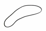 Genuine Gm Front Passenger Side Door Weatherstrip 84218974. Fixed Price $56.63.