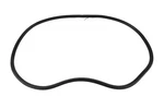 Genuine Gm Rear Side Door Weatherstrip 20944482. Fixed Price $125.75.