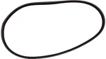 Genuine Gm Surround Weather-strip 25792029. Fixed Price $101.55.