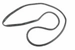 Genuine Gm Rear Driver Side Door Weatherstrip 84220315. Fixed Price $56.29.