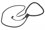 Genuine Gm Rear Passenger Side Door Weatherstrip 84741730. Fixed Price $98.97.