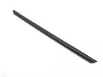 Genuine Mopar Rear Door Belt Inner Weatherstrip Left 5076877AC. Fixed Price $32.01.