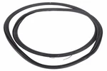 Genuine Gm Rear Side Door Weatherstrip 23142208. Fixed Price $126.03.