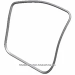 Genuine Gm Weather-strip On Body 85074380. Fixed Price $315.27.