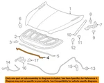 Gm Oem 16-18 Envision Hood Components-front W'strip 23360502. Fixed Price $91.61.