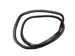 Rear Right Entrance Door Gasket For Audi A6 (4F2, C6) 3.0. Fixed Price $27.49.