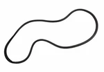 Genuine Gm Front Side Door Body Weatherstrip 84237251. Fixed Price $76.19.