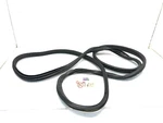 2018-2024 Honda Odyssey Right Pass Rear Sliding Door Body Weatherstrip Seal Oem. Fixed Price $44.99.