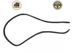 2006 - 2008 Lexus IS250 Oem Rear Right Passenger Side Weather Stripping Rubber. Fixed Price $28.00.