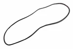 Genuine Gm Rear Passenger Side Door Weatherstrip 84222072. Fixed Price $73.67.
