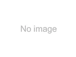 Velvac 035164 Gladhand Seal. Fixed Price $15.42.