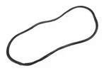 Genuine Gm Rear Side Door Weatherstrip 84921200. Fixed Price $27.64.
