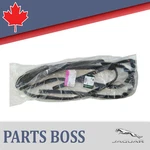 Jaguar Xf 2016-2023 Oem New Door Weatherstrip Seal Rear Left. Fixed Price $68.14.
