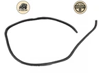 2006 - 2008 Lexus IS250 Oem Front Right Passenger Side Weather Stripping Rubber. Fixed Price $28.00.