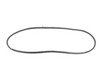 Genuine Mopar Rear Door Mounted Weatherstrip Right 68420119AA. Fixed Price $98.73.