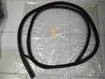 Bmw E36 Roof Frame Gasket Left !!new!! Genuine 51718174757. Fixed Price $299.00.