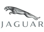 T4N35295 Seal-aperture Jaguar. Fixed Price $142.19.