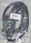 2025 Lexus NX350H Rear Left Door Weatherstrip Seal 67872-F6010 Oem 637 #A92. Fixed Price $95.00.