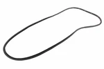 Genuine Gm Driver Side Front Door Weatherstrip 95021340. Fixed Price $111.58.