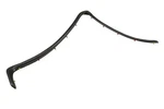 Genuine Gm Driver Side Rear Door Lower Weatherstrip 25948404. Fixed Price $45.99.