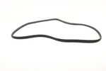 2022 - 2024 Hyundai Ioniq 5 Rear Left Side Door Seal Weather Stripping Oem. Fixed Price $44.49.