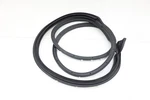 New Oem Ford Front Left Door Mounted Weatherstrip DN1Z-7420531-D Ecosport 18-20. Fixed Price $179.95.