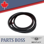 Bentley Continental Flying Spur 2006-2012 Oem New Door Seal. Fixed Price $122.67.