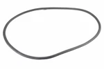 Genuine Gm Weather-strip On Body 26410516. Fixed Price $61.20.