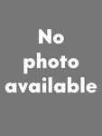 Set Of Land Rover LR3 Eurospare Rear Axle Nuts RFD500020. Fixed Price $29.00.