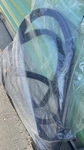 Oem 1090500-90-N Front Right Door Seal Tesla Model 3. Fixed Price $150.00.