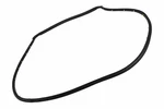 Genuine Gm Rear Passenger Side Door Weatherstrip 42541955. Fixed Price $52.81.