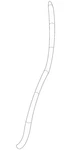 Genuine Gm Rear Weather-strip 25823639. Fixed Price $68.46.