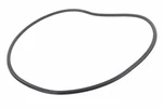 Genuine Gm Door Weather-strip 86515209. Fixed Price $118.30.
