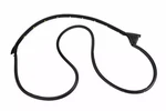 Genuine Gm Passenger Side Front Door Weatherstrip 23286280. Fixed Price $79.92.