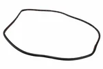 Genuine Gm Rear Passenger Side Door Weatherstrip 84576687. Fixed Price $48.82.