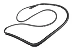 Genuine Gm Door Weather-strip 84741732. Fixed Price $101.50.