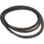Gm 15975379 Weatherstrip Asm Frt S/d. Fixed Price $206.28.