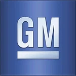 Genuine Gm Light Neutral Front Passenger Side Door Weatherstrip 10368844. Fixed Price $75.32.