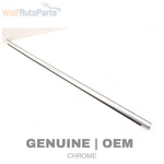 2017-2019 Vw Golf Alltrack Rear Right Door Window Slot Seal / Trim (exterior). Fixed Price $20.49.