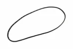 Genuine Gm Front Driver Side Door Weatherstrip 84218973. Fixed Price $261.36.