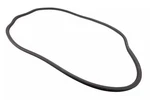 Genuine Gm Rear Passenger Side Door Weatherstrip 84688301. Fixed Price $65.55.