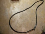 05-12 Toyota Avalon Rh Passenger Side Front Door Shell Body Weatherstrip Seal. Fixed Price $39.99.