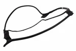 Genuine Gm Rear Passenger Side Door Weatherstrip 84234302. Fixed Price $114.18.