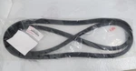 2022-2025 Lexus Nx Body Weather-strip 67881-F6011. Fixed Price $130.00.