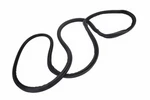 Genuine Gm Liftgate Weatherstrip 84377019. Fixed Price $70.72.